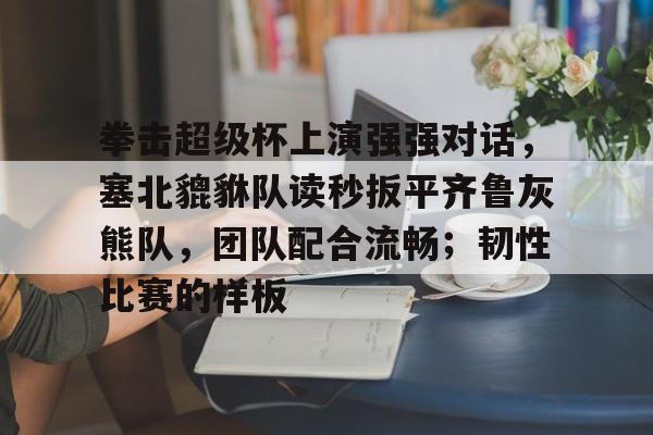 超级拳击锦标赛 -开云体育官网